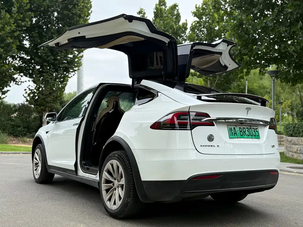 Tesla Model X — миниатюра 12