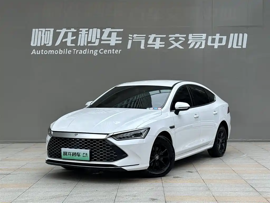 Byd Qin PLUS 2024