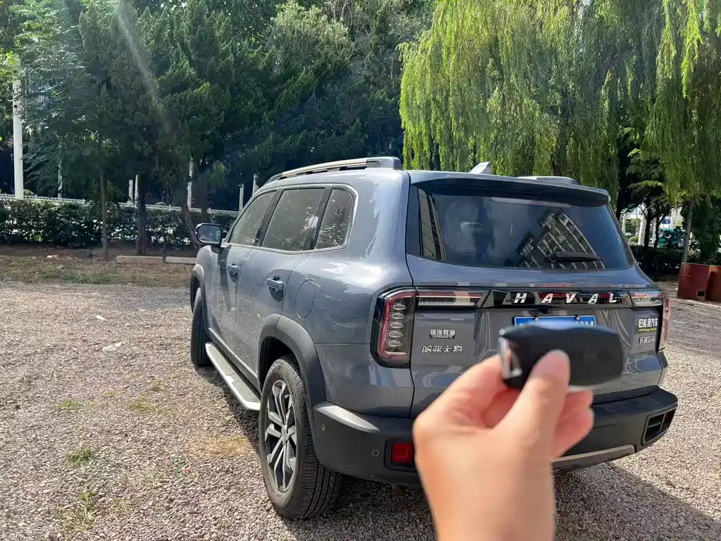 Haval 长城大狗 — миниатюра 17
