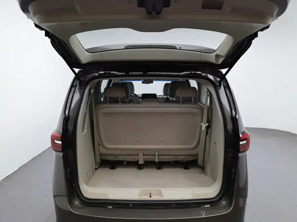 Buick GL8 — миниатюра 16