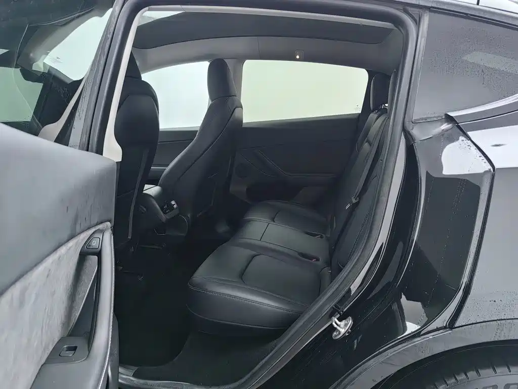 Tesla Model Y — миниатюра 15