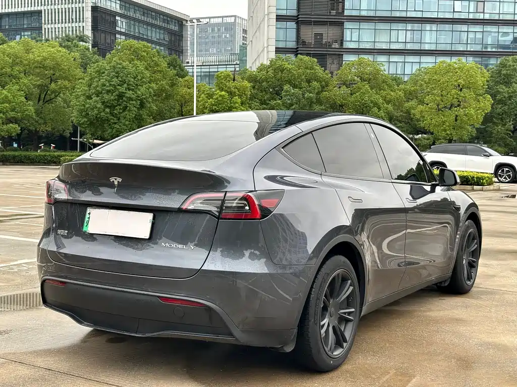 Tesla Model Y — миниатюра 20