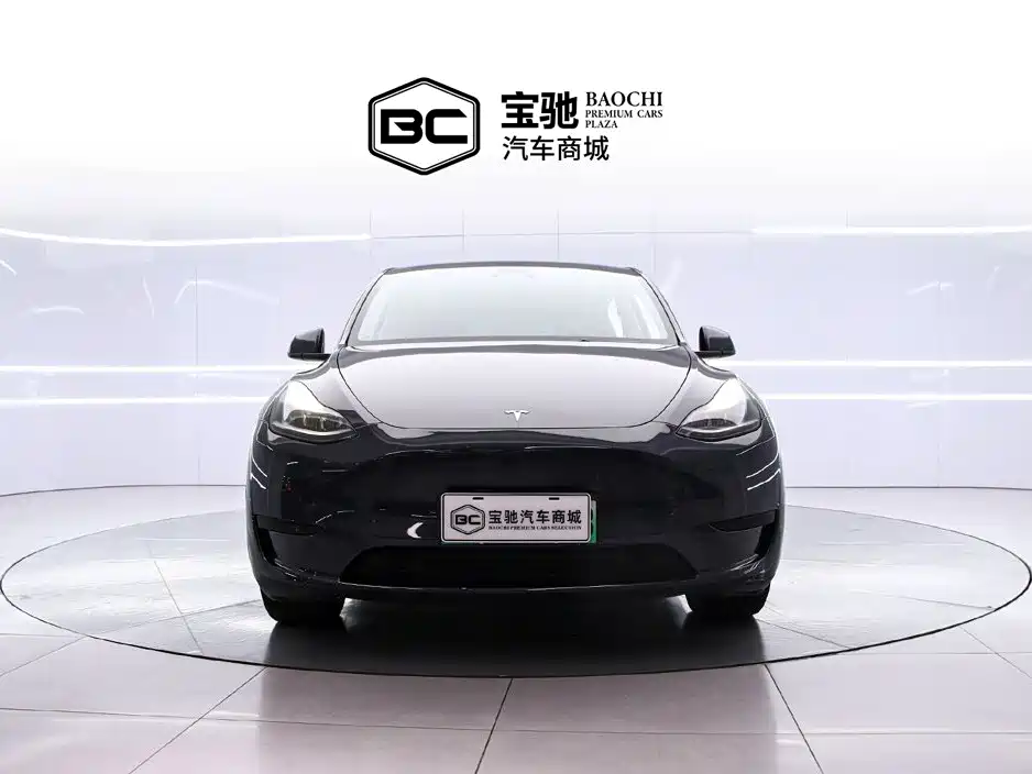 Tesla Model Y — миниатюра 2