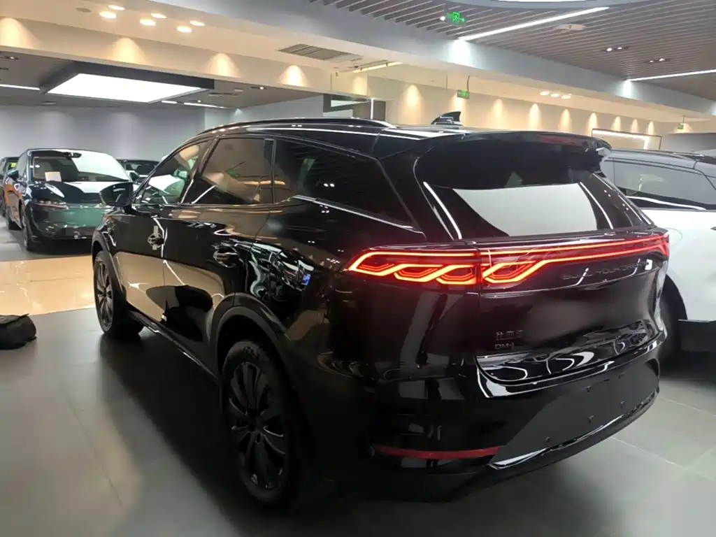 BYD Tang New Energy — миниатюра 23
