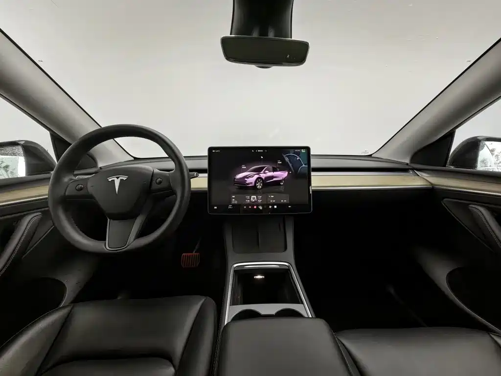 Tesla Model Y — миниатюра 5