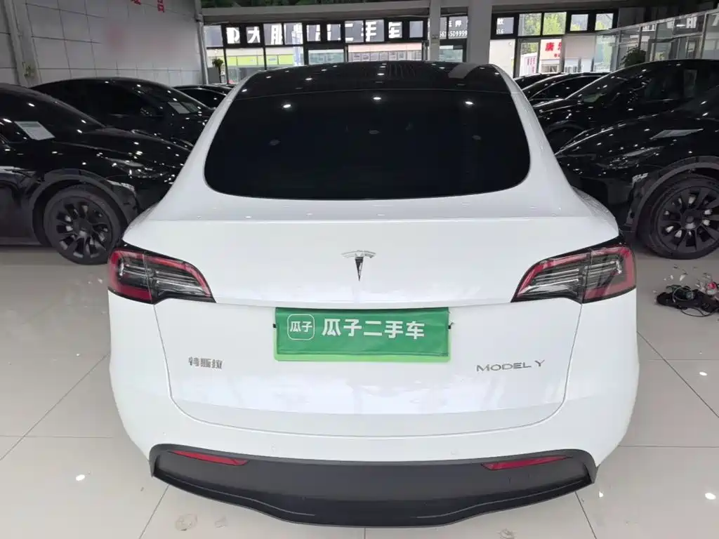 Tesla Model Y — миниатюра 6