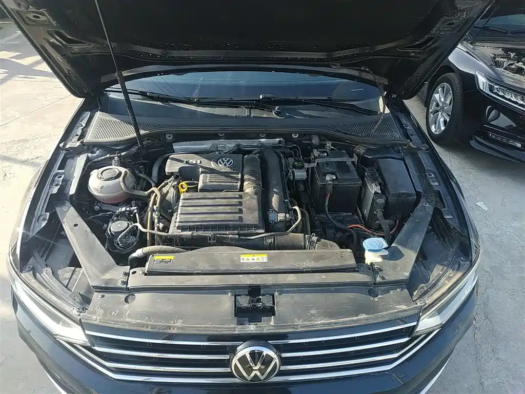 Volkswagen Magotan 2020 280TSI DSG Comfort