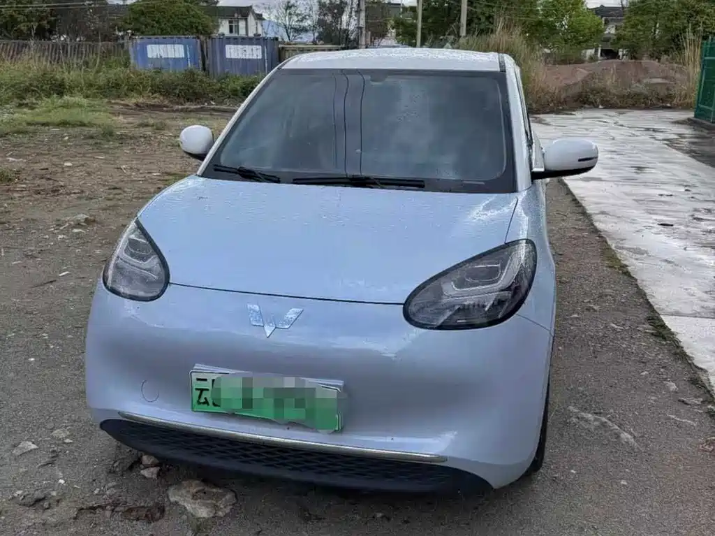 Wuling Bingo 2024