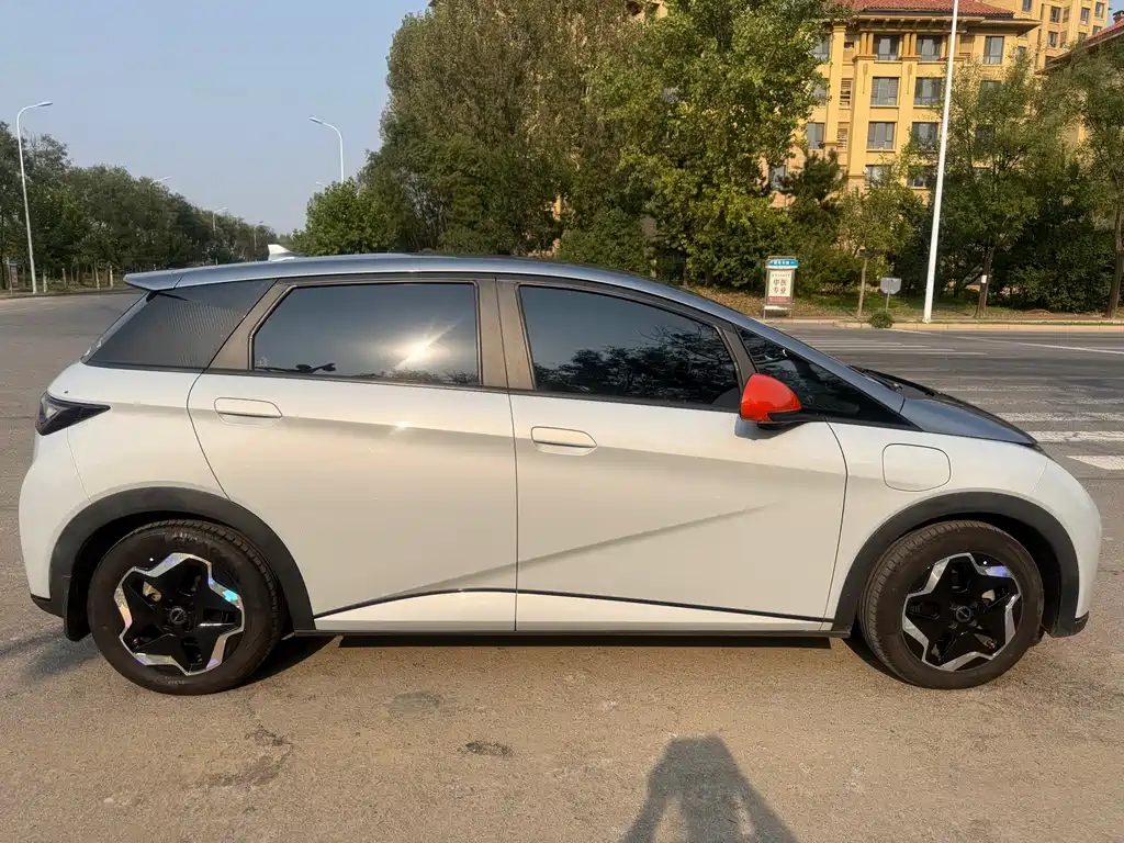 BYD Dolphin — миниатюра 3