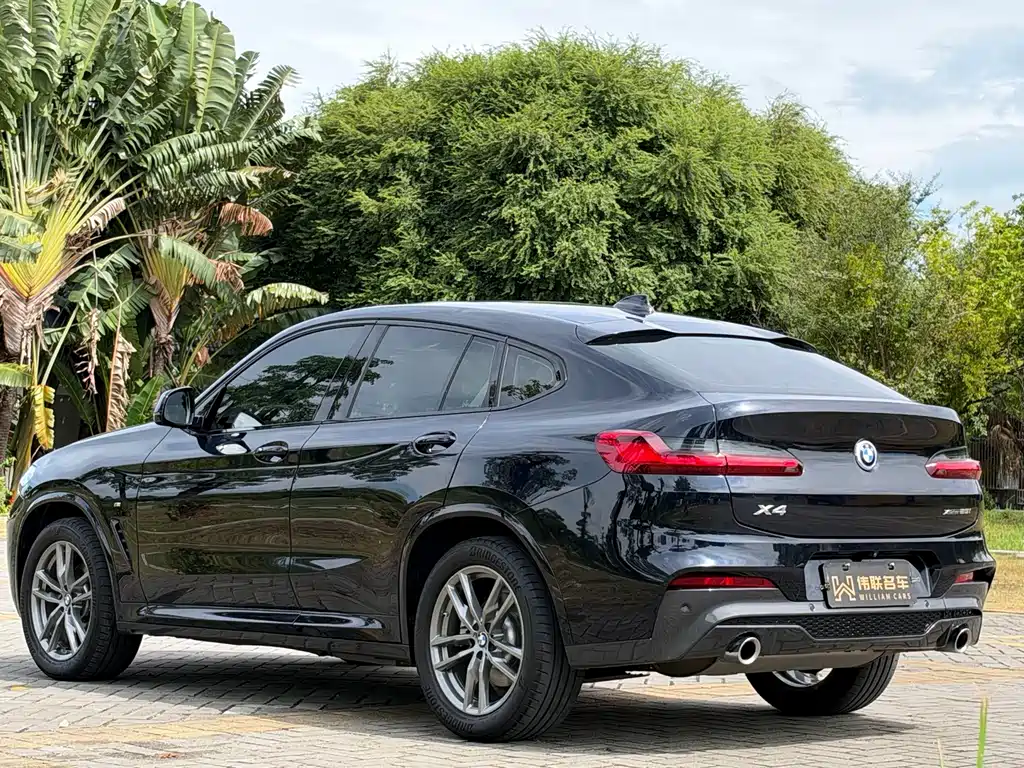 BMW X4 — миниатюра 4