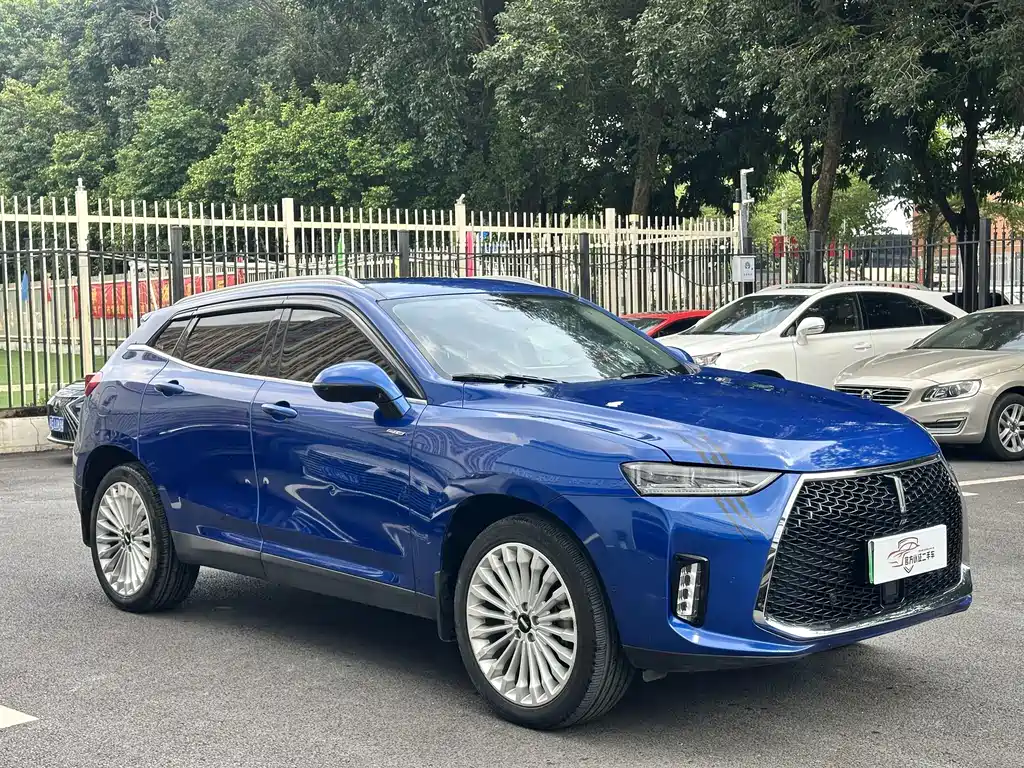 Wey Wey P8 — миниатюра 3