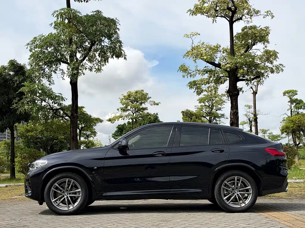 BMW X4 — миниатюра 24