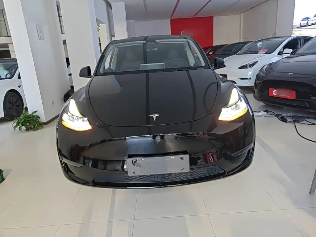 Tesla Model Y — миниатюра 3