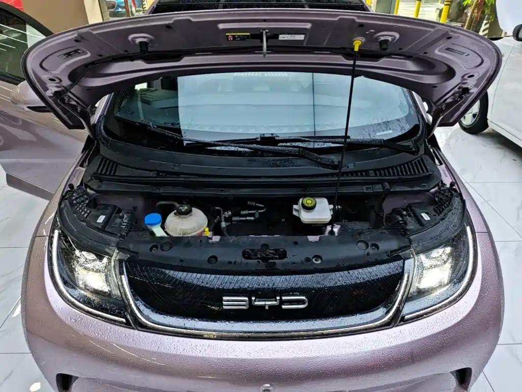 BYD Dolphin — миниатюра 20