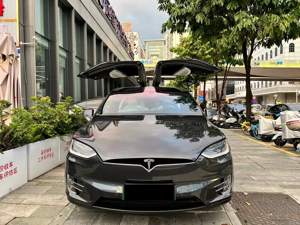 Tesla Model X — миниатюра 15