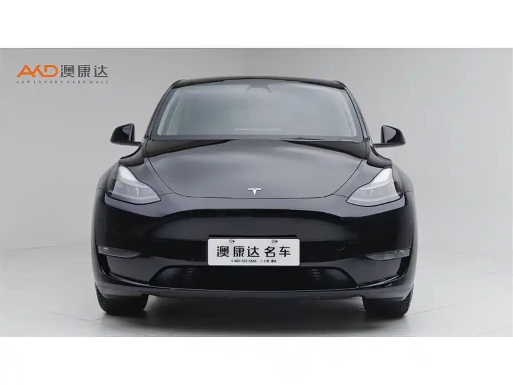 Tesla Model Y — миниатюра 2