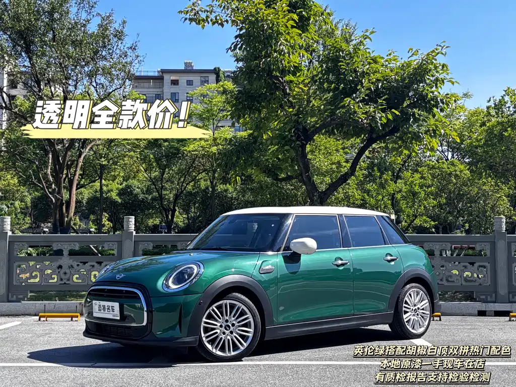 Mini Mini 2022