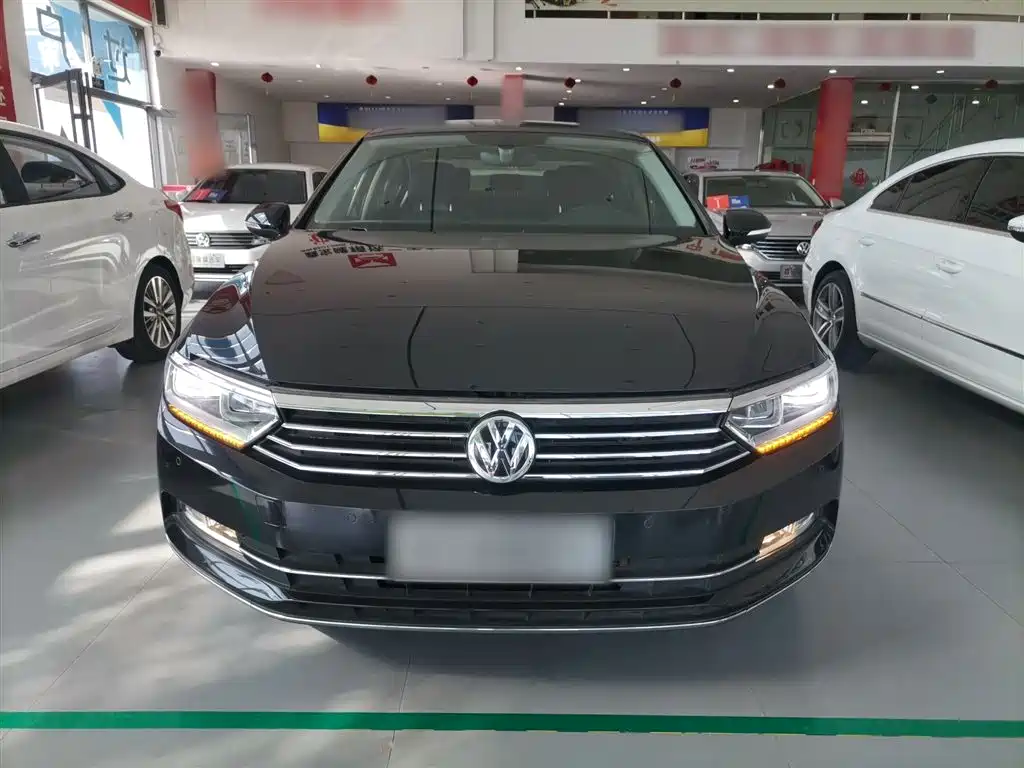 Volkswagen Magotan 2019 330TSI DSG Luxury VI