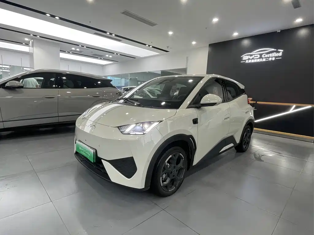 BYD Seagull