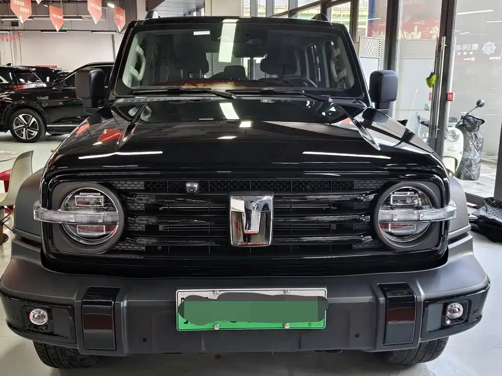 TANK TANK 300 NEW ENERGY