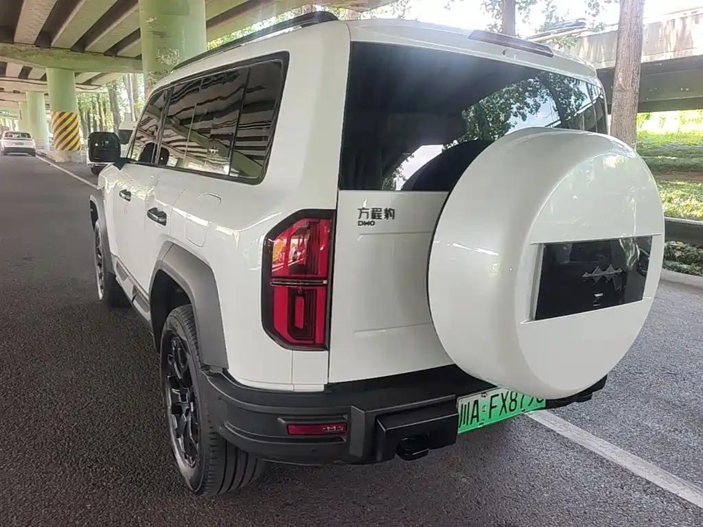 Fang Cheng Bao Leopard 5 — миниатюра 5