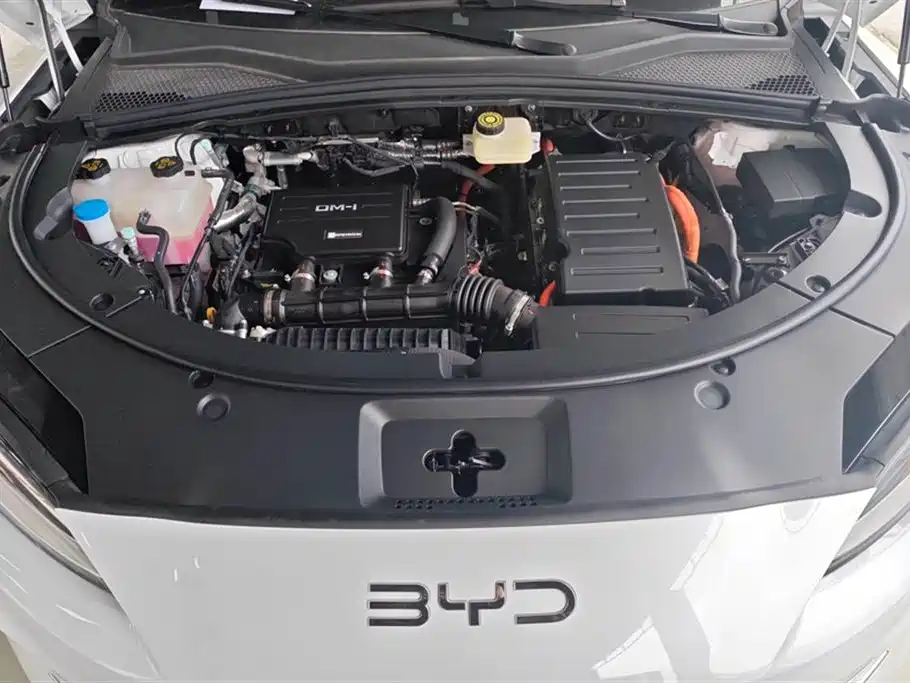 BYD SONGJIANG NEW ENERGY