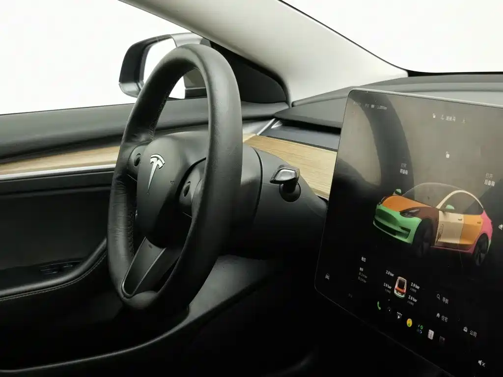 Tesla Model 3 — миниатюра 22