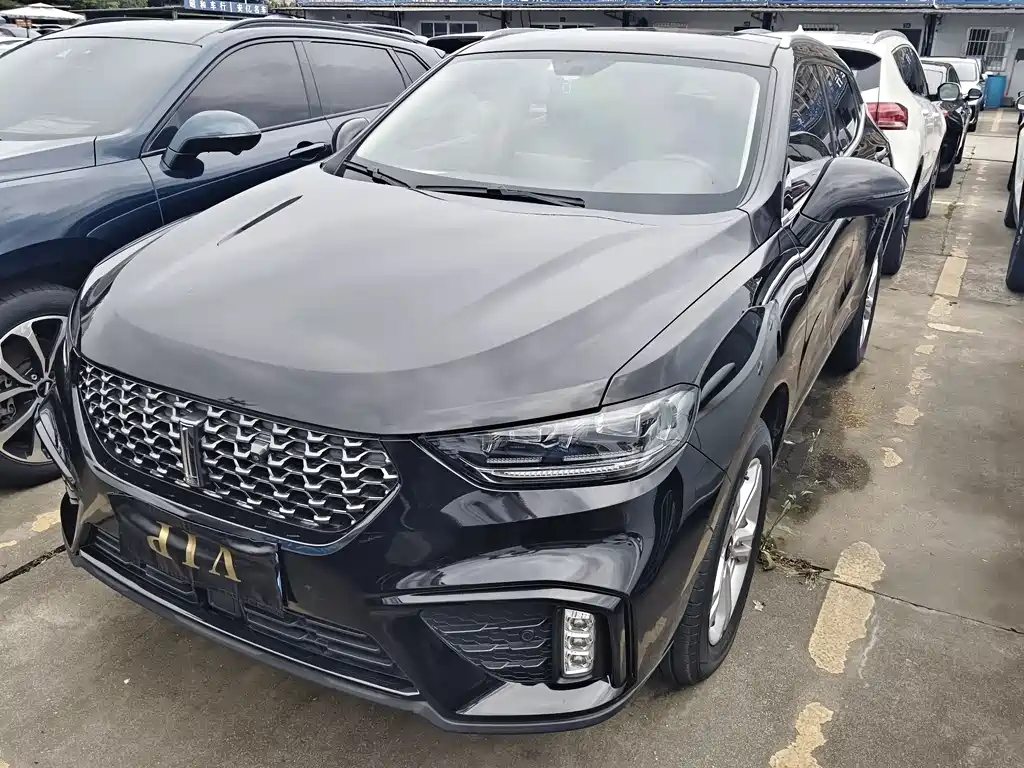 Купить Wey Wey VV5