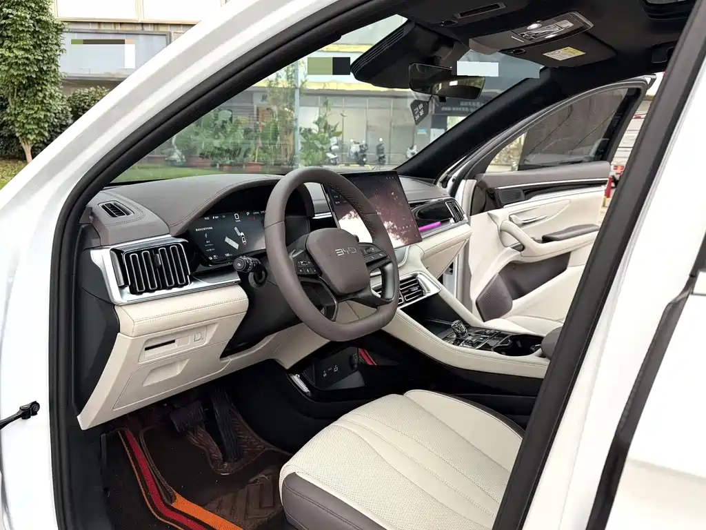 BYD PLUS New Energy — миниатюра 4