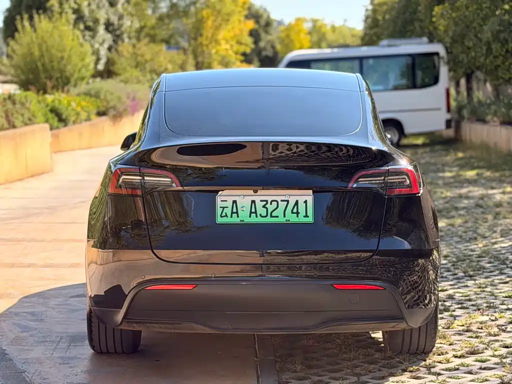 Tesla Model Y — миниатюра 7