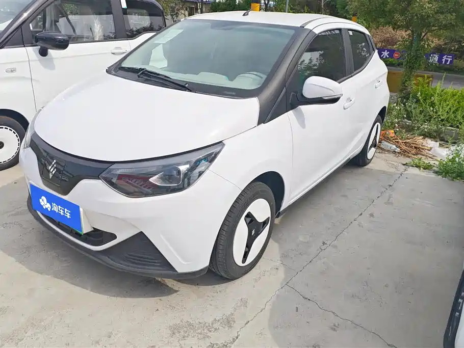 Jmev 易至EV2 2025