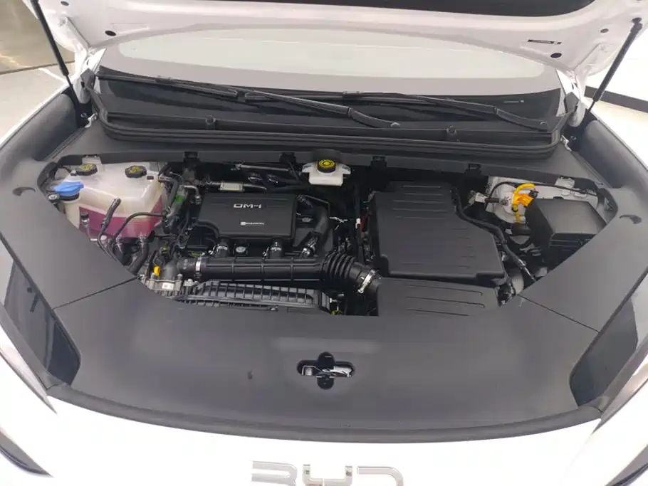 BYD Sealion 06 — миниатюра 10