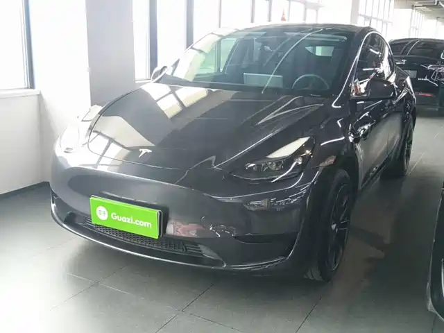 Tesla Model