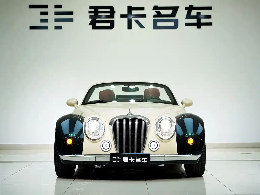 Mitsuoka Queen — миниатюра 2