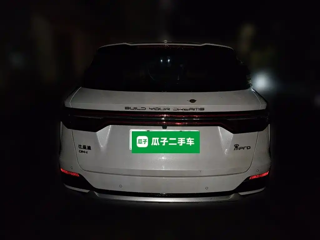 BYD Pro New Energy — миниатюра 3