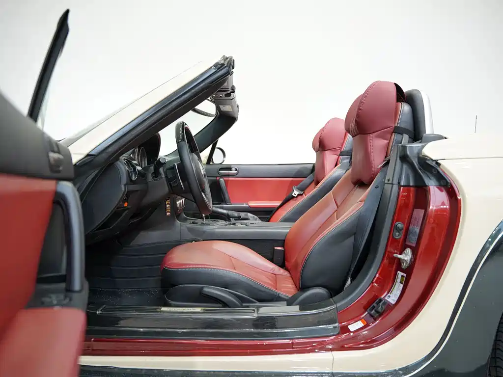 Mitsuoka Queen — миниатюра 14