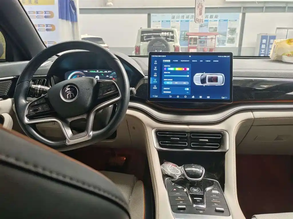 BYD PLUS New Energy — миниатюра 9