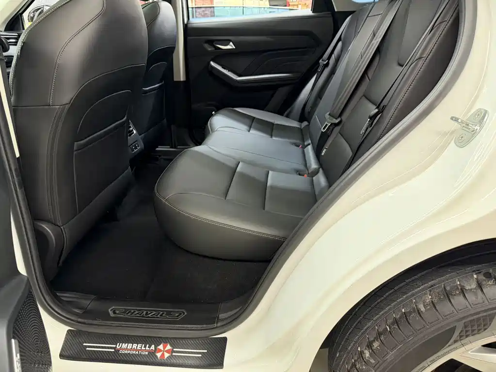 Haval Chitu — миниатюра 17