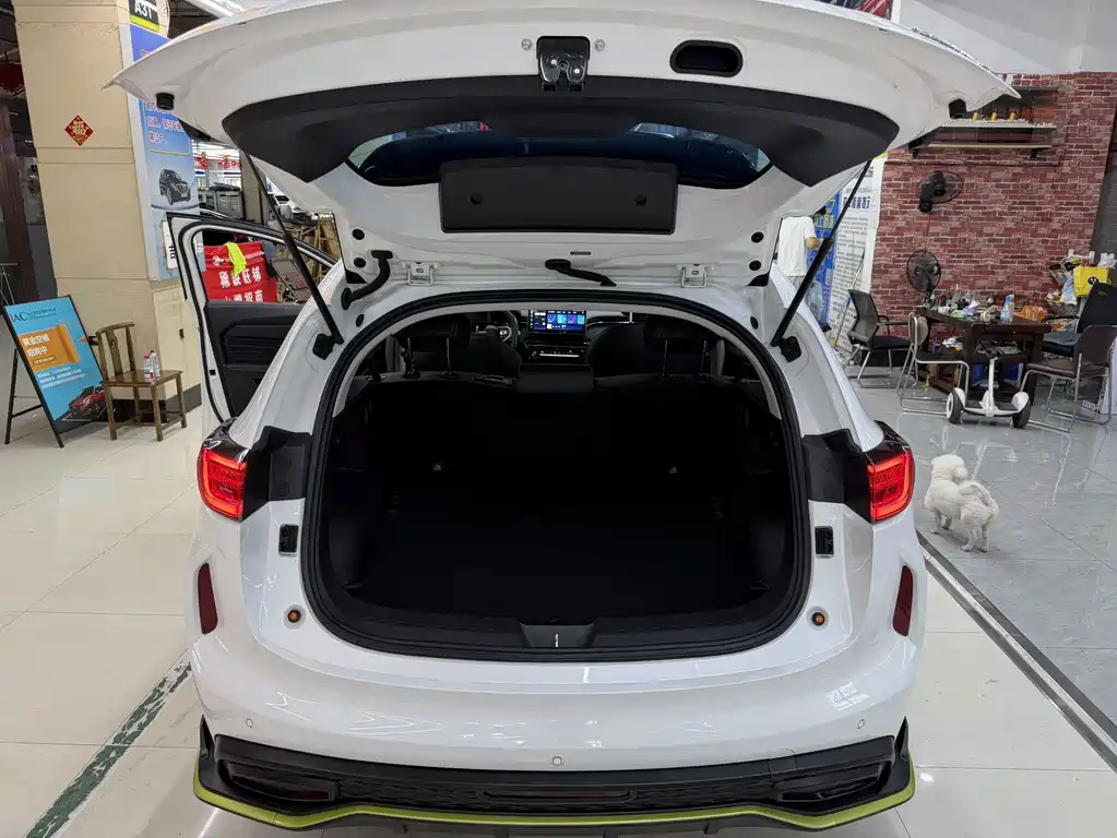 Haval Chitu — миниатюра 25