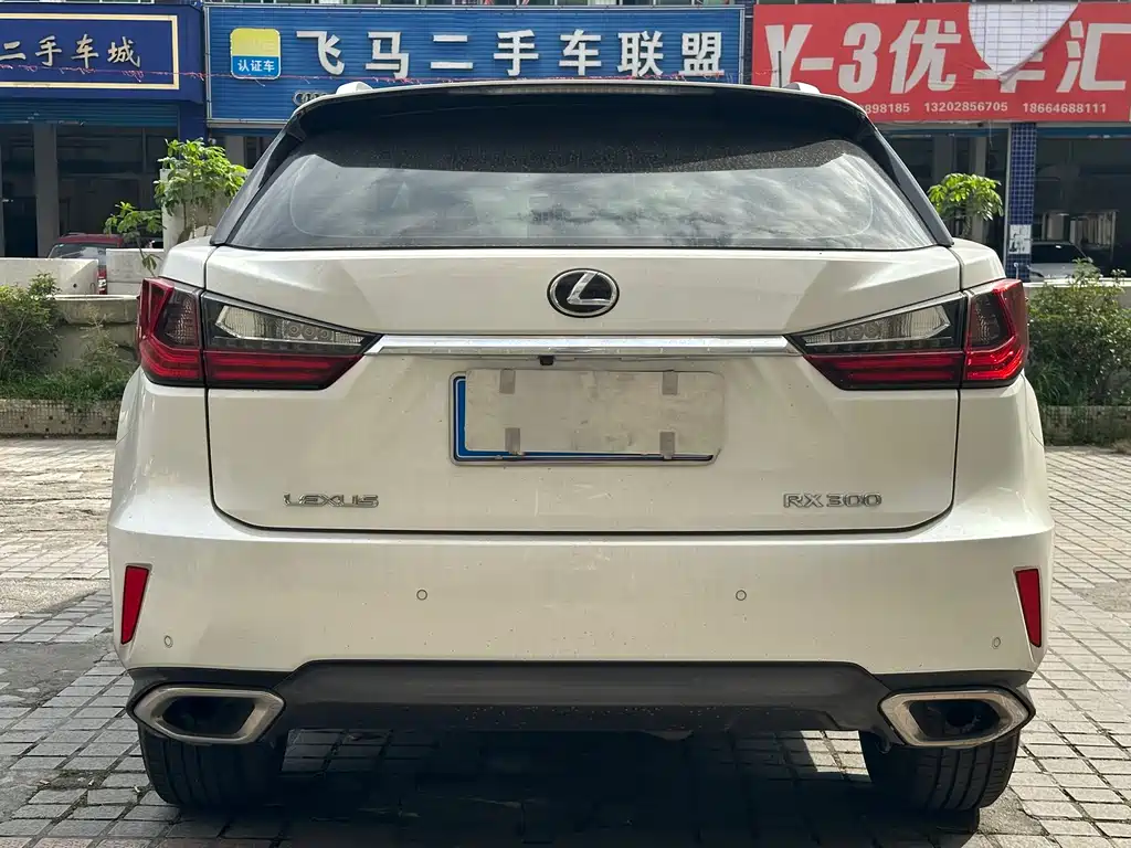 LEXUS RX