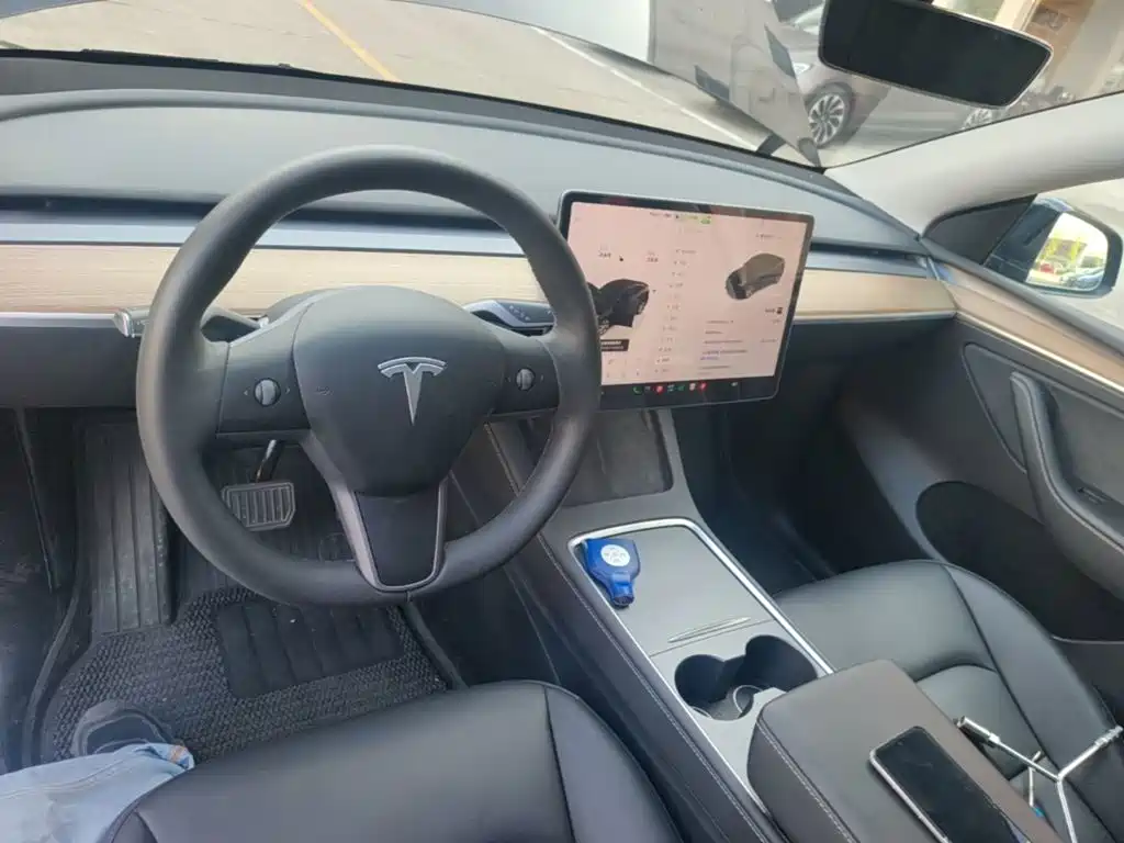 Tesla Model Y — миниатюра 10