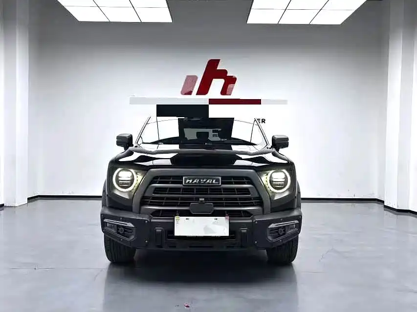 HAVAL BIG DOG