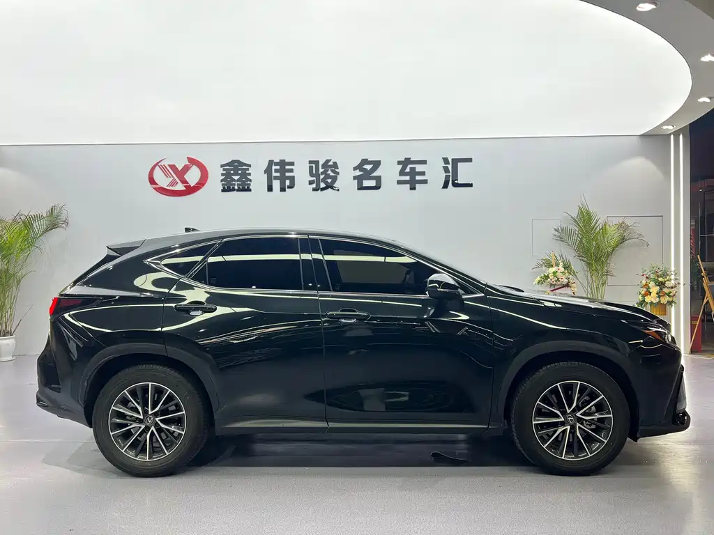 Lexus NX 2023 260