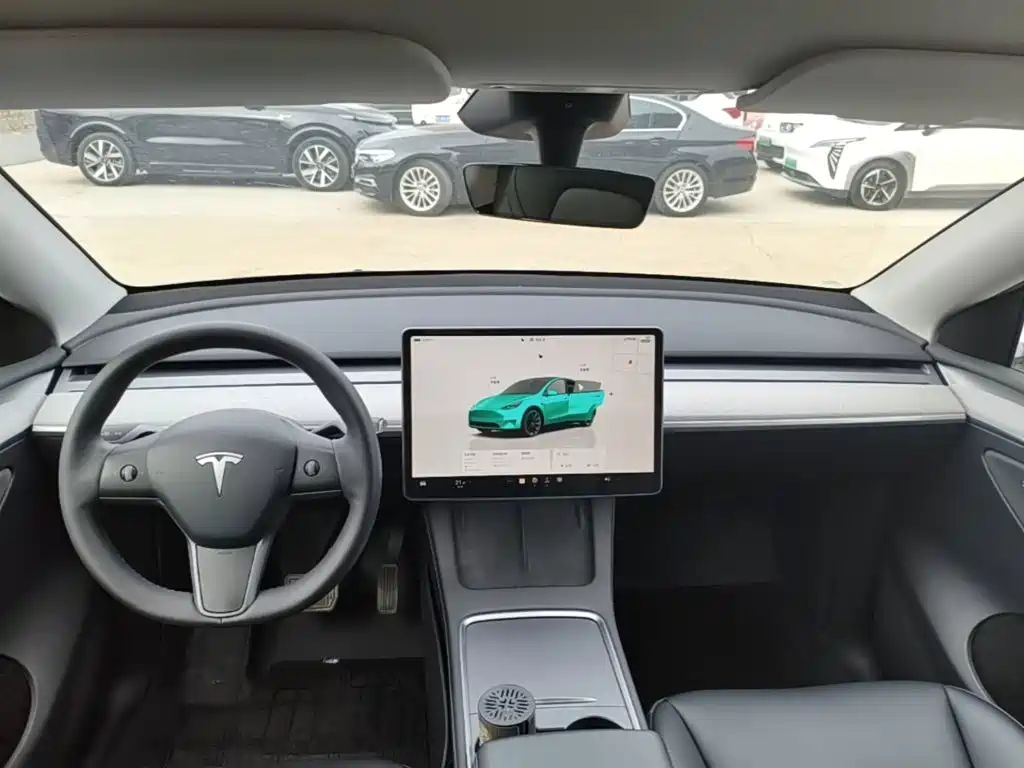 Tesla Model Y — миниатюра 10