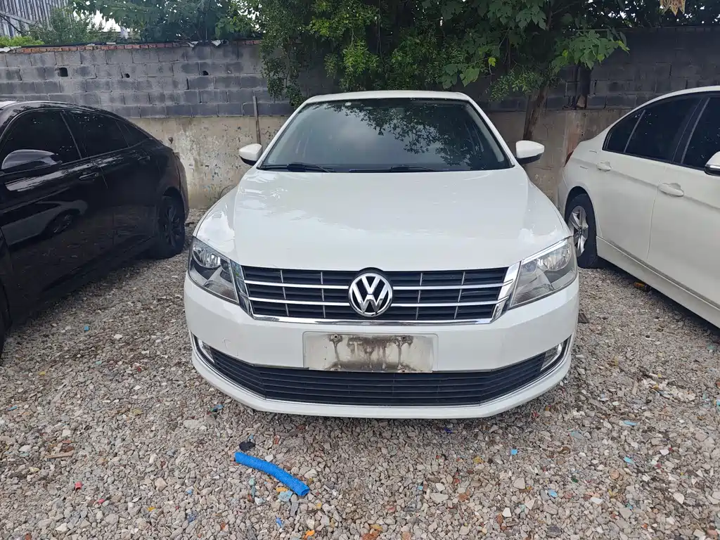 Volkswagen Gran Lavida — миниатюра 2