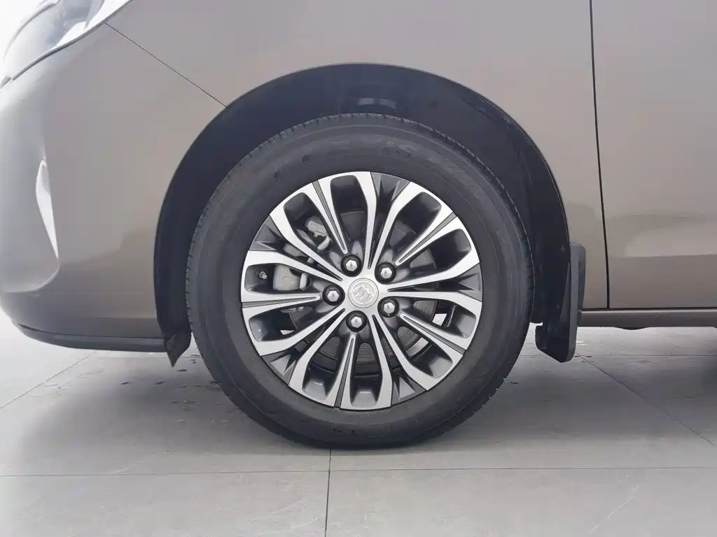 Buick GL8 — миниатюра 17