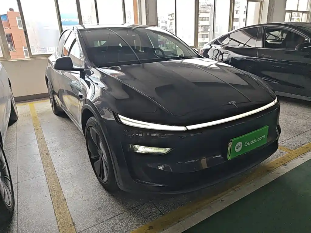 Tesla Model Y — миниатюра 4