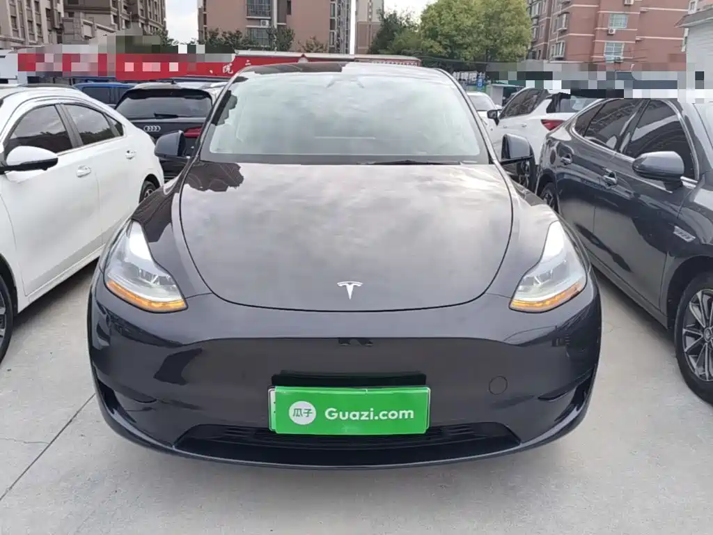 Tesla Model Y — миниатюра 3