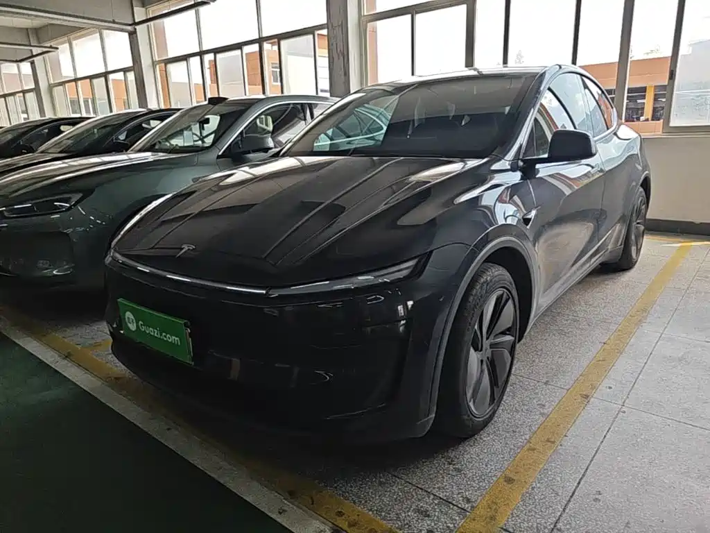 Tesla Model Y — миниатюра 2