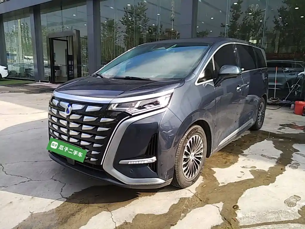 Denza Denza D9 — миниатюра 2